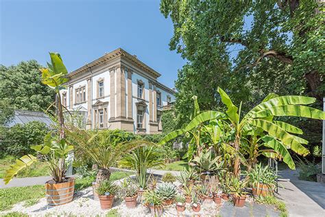 Sie locken das ganze jahr mit üppiger blütenpracht, einer einzigartigen pflanzenvielfalt und eindrücklichen botanischen sammlungen. Botanischer Garten Basel - Fotos - Botanischer Garten