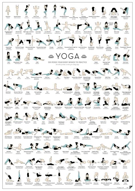 Yoga 150 Poses Your Body Wishes To Practice Infographic Ashtanga