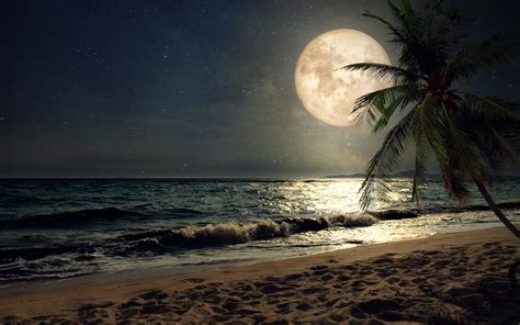 Download 3840x2400 Beach Sand Nights Moon Palm Tree Nature 4k