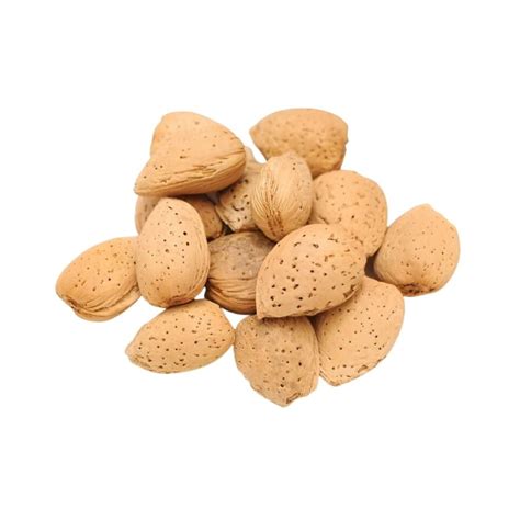 Buy Pure And Natural Sabut Badam Whole Almond Shell Puja Badam For