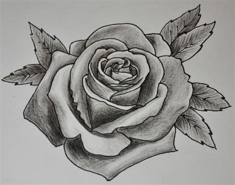 Shaded Rose Drawing At Explore Collection Of