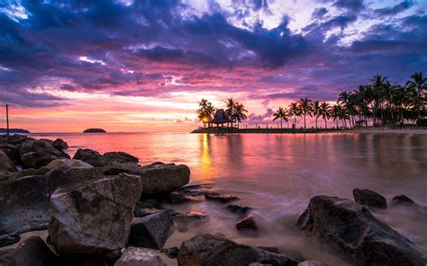 Nature Landscape Sunset Tropical Beach Clouds Sky Sea Palm Trees Rocks