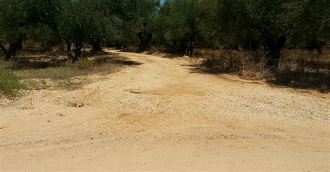 Κλάδοι της φαρμακευτικής περιλαμβάνουν : Επισήμανση αναγνώστη | FILIATRANEWS