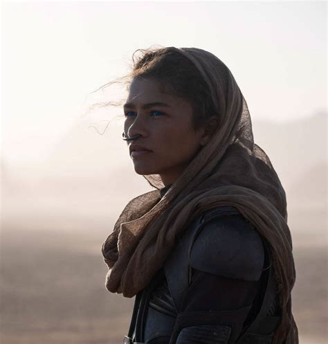 Here we report that one of the survival systems of the cactus opuntia microdasys lies in its efficient fog collection system. Dune Movie Characters Revealed in New Photos ...