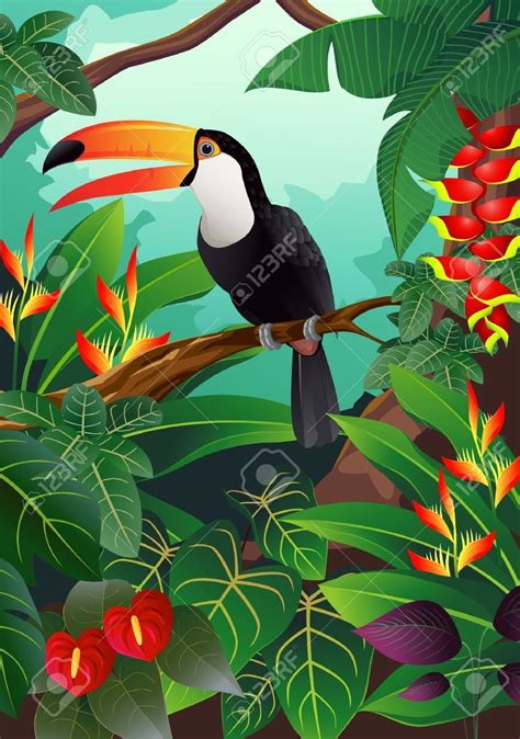 Toucan Bird Art And Illustration Vogel Illustration Art Tropical