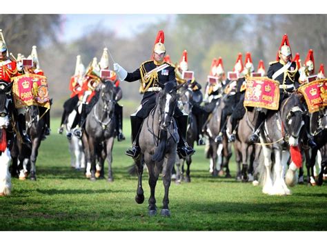 Beautiful Cavalry Horses Royal Horse Guards Horse Guards War Horse
