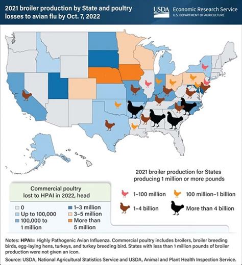 Usda Release Map Showing Avian Flu Outbreak By State Poultry Producer