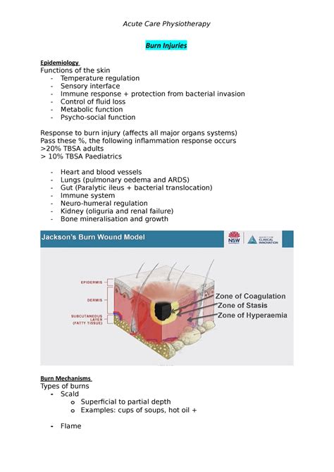 Burn Injury Lecture Notes Burn Injuries Epidemiology Functions Of The