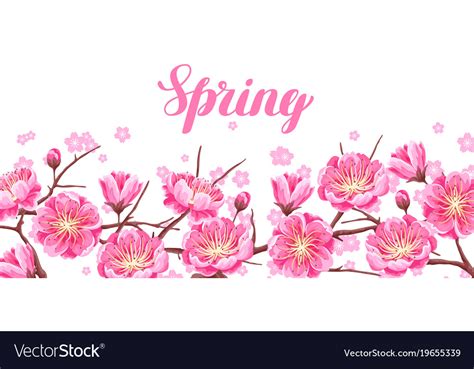 Spring Banner With Sakura Or Cherry Blossom Vector Image