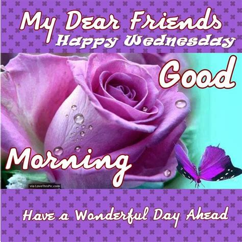 Good Morning Happy Wednesday My Dear Friends Pictures, Photos, and 