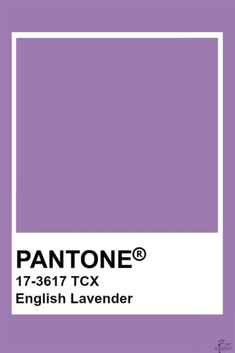 Pin By Idrees Saleem On Color Pantone Colour Palettes Pantone Color