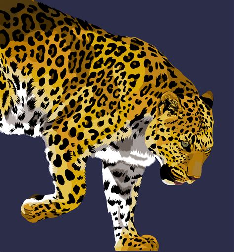 Leopard Vector By Rachaelehunt On Deviantart