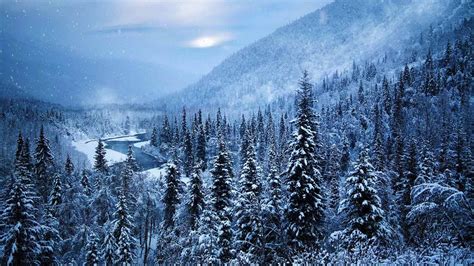 4551150 Snow Winter River Alaska Mountains Mist Forest Trees