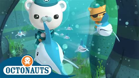 Octonauts Riding With Fishes Cartoons For Kids Underwater Sea