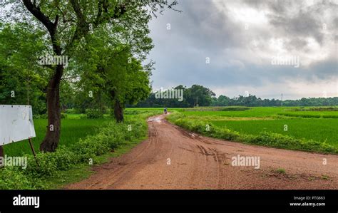 West Bengal Village Road Hi Res Stock Photography And Images Alamy