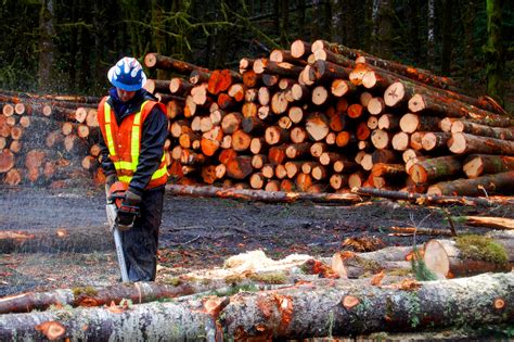 Logging Wallpapers High Quality Download Free