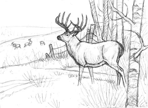 Deer Hunting Sketch At Explore Collection Of Deer