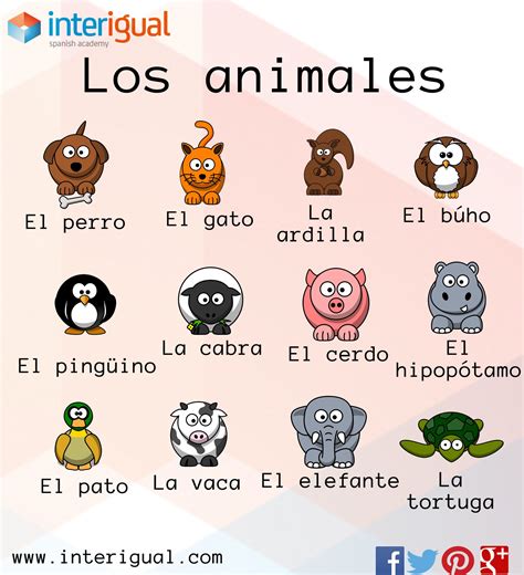 Los Animales En Español The Animals In Spanish Exercices Espagnol