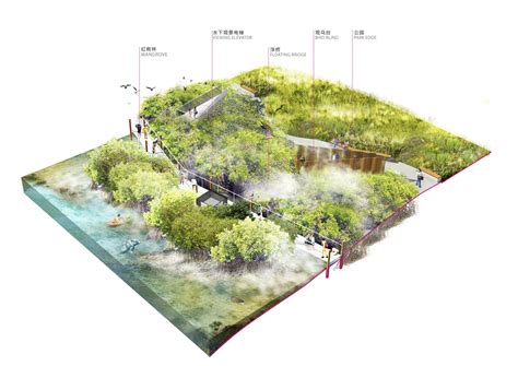 Forest City Master Plan Sasaki Landscape Diagram Forest City City