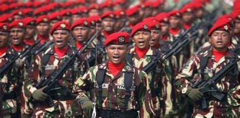 Bagaimana Sejarah Terbentuknya Tentara Nasional Indonesia Militer Dictio Community