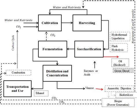 Flow Chart Of Bio Ethanol Production From Microalgae Biomass Within The