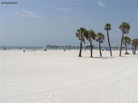 Free Download Clearwater Beach Wallpaper And Backgrounds Florida Gulf