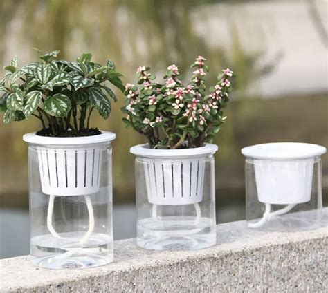 The 7 Best Self Watering Pots For Your Indoor Plants Out Of Town Blog
