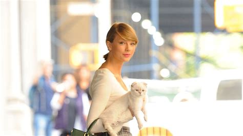 Taylor Swift Fall Outfit Ideas Plus Her Cat Olivia Benson Glamour
