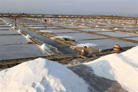Salt Farms Philippines Flickr Photo Sharing