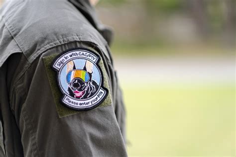 Is That The Goodest Boy Patch Rairforce