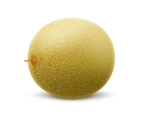 Premium Vector Fresh Whole Melon Fruit Isolated On White Background