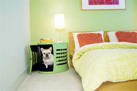 Multifunctional Pet Friendly Furniture