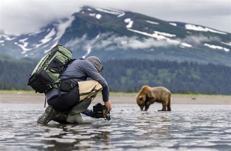 Chris Mclennan Photography — Alaskan Bears Photo Tour