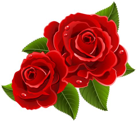 Red Roses Beautiful PNG Clipart Picture | Rose, Hearts and roses, Red roses png image