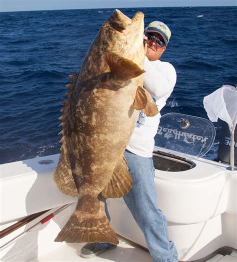 Dry Tortugas Fishing Charter Fishing Charters Fish Gulf Of Mexico