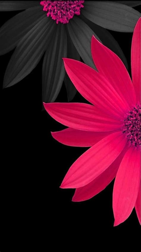 Incredible Compilation Of Full 4k Flower Wallpapers Over 999
