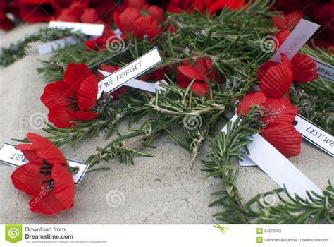 Red Poppy Anzac Day Remembrance Day Stock Photo Image 54572833