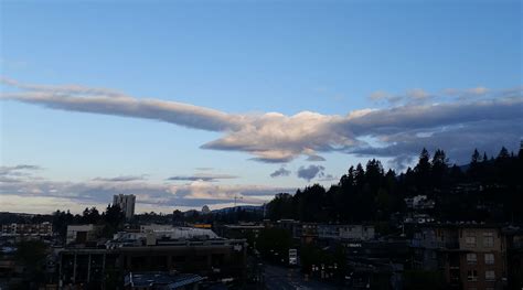 Spotted On Reddit This Vancouver Cloud Looks Like A Giant Eagle News
