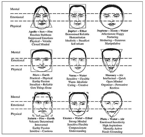 The Science Of Face Reading A Practitioners Guide To Morphology