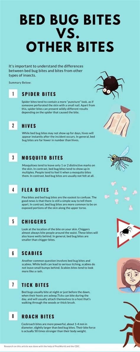 Bed Bug Bites Vs Other Bites Fleas Hives Chiggers 9 Examples