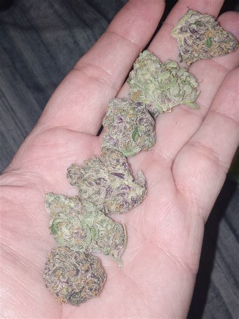 Brr Berry Marijuana Strain Information & Reviews | AllBud