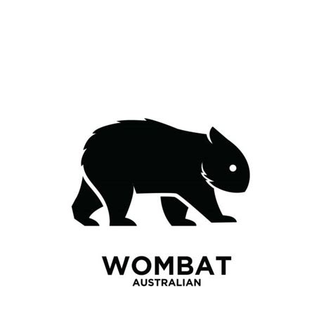 Silhouette Of A Cute Wombat Illustrations Royalty Free Vector Graphics