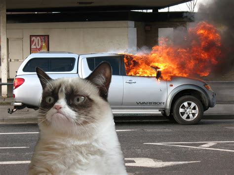 Grumpy Cat Fire Car Blank Template Imgflip