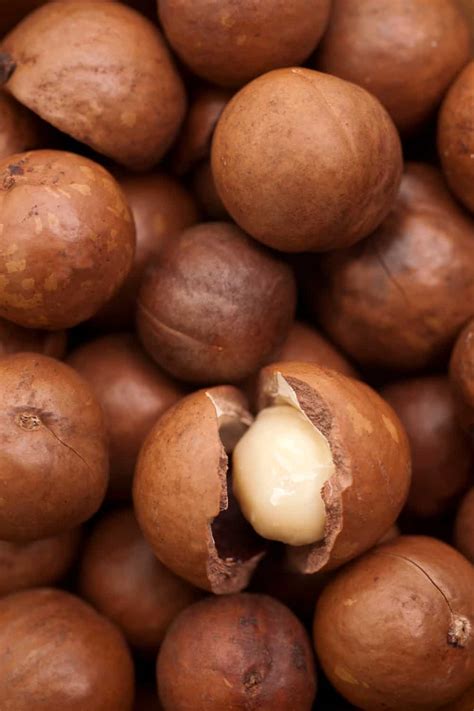 Do Macadamia Nuts Go Bad？How Long Does It Last?
