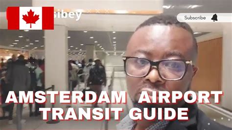 My Amsterdam Airport Layover Schiphol Airport Guide Youtube