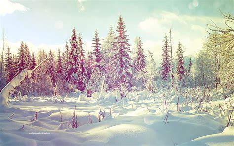 Winter Wonderland Backgrounds 41 Images
