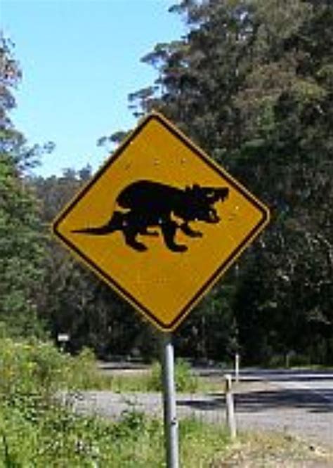 Australia's Weird Wildlife Warning Signs | Budget Travel
