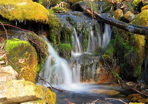 Free Picture Waterfall Water Stream River Wood Creek Nature