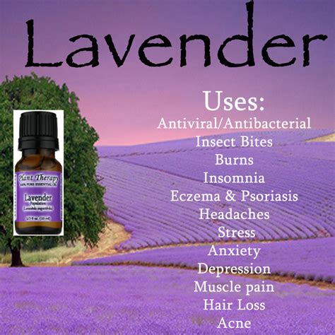 Top 91 Wallpaper Aroma Guru Roll On Lavender Uses And Benefits Sharp