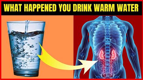 8 health benefits of drinking warm water in daily routine advantage of hot water fit and care